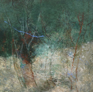 En nos forêts profondes